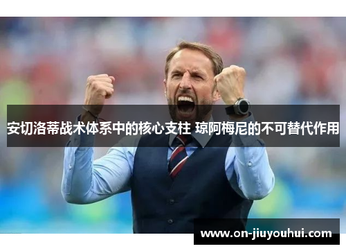 安切洛蒂战术体系中的核心支柱 琼阿梅尼的不可替代作用